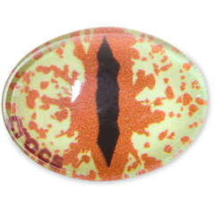 Hazel Animal Eye Jibbitz™ charms - Crocs